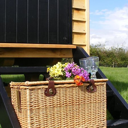 Marshwood Farm B&B And Shepherds Hut Dinton  Экстерьер фото