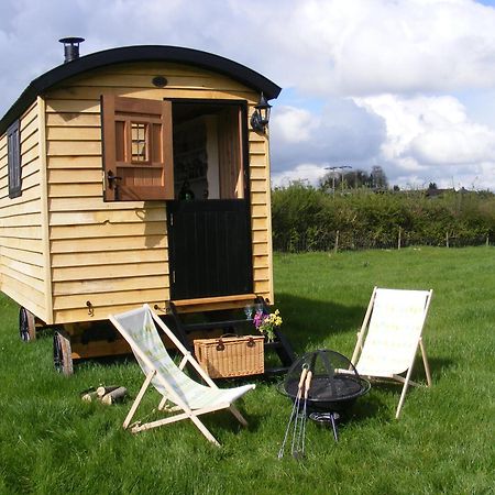 Marshwood Farm B&B And Shepherds Hut Dinton  Экстерьер фото
