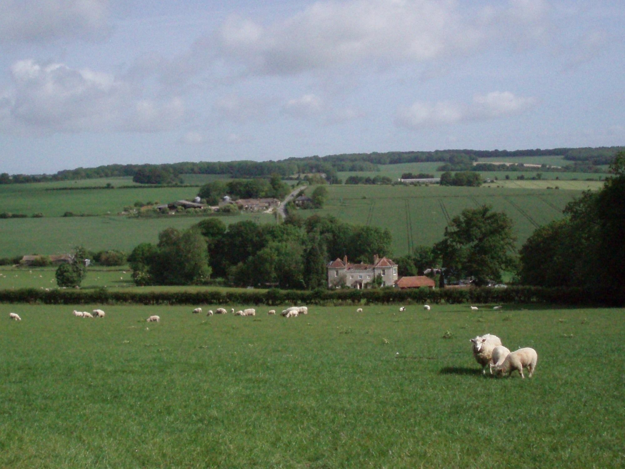 Marshwood Farm B&B And Shepherds Hut Dinton  Экстерьер фото